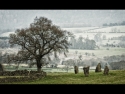 the-grey-ladies-standing-stones-by-chris-newham