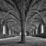 Fountains Abbey by Michal Tekel