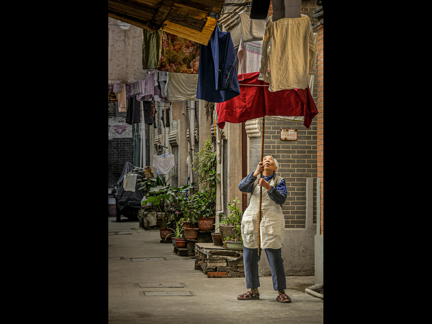 CHINESE-LAUNDRY-by-Lois-Webb-1