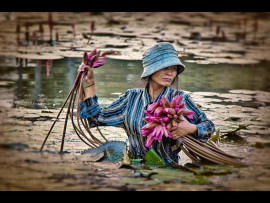 LOTUS PICKER by Lester Woodward
