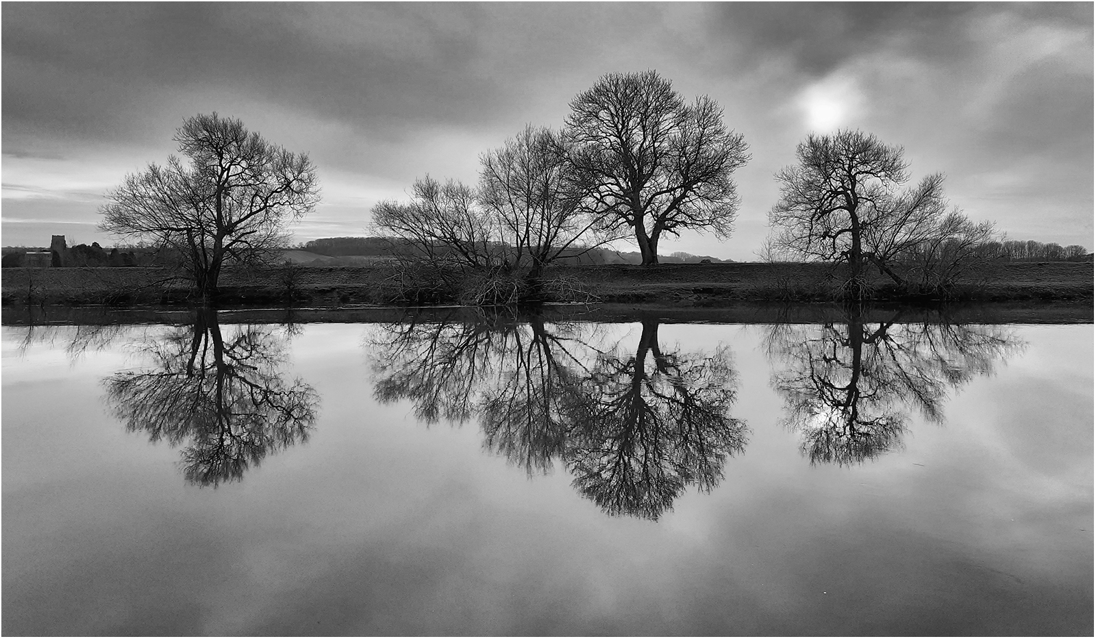 WINTER TREE REFLECTIONS by Sue Jackson