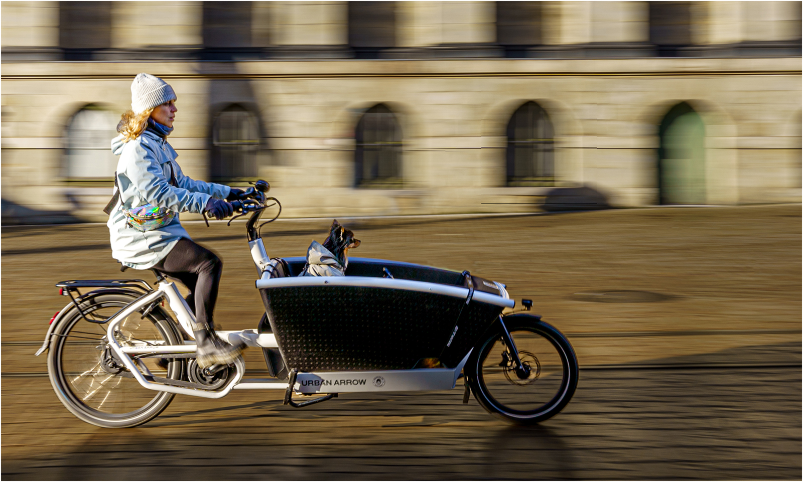 TRANSPORTING THE DOG by Malcolm Nabarro