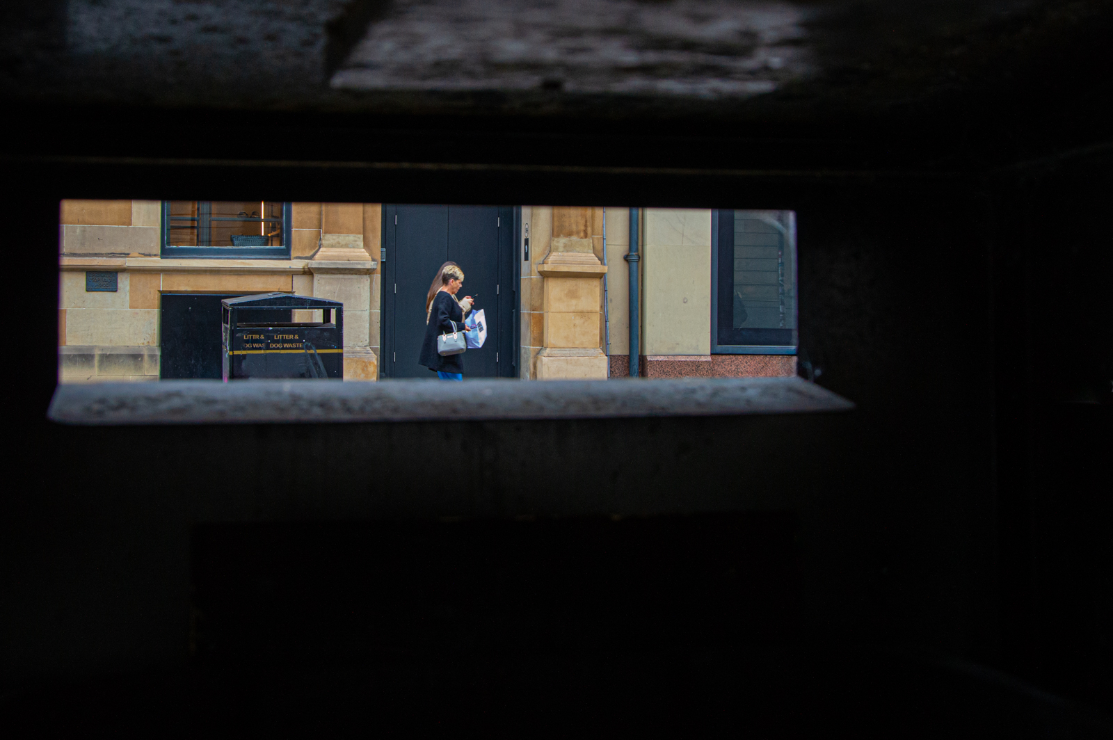 THROUGH THE BIN