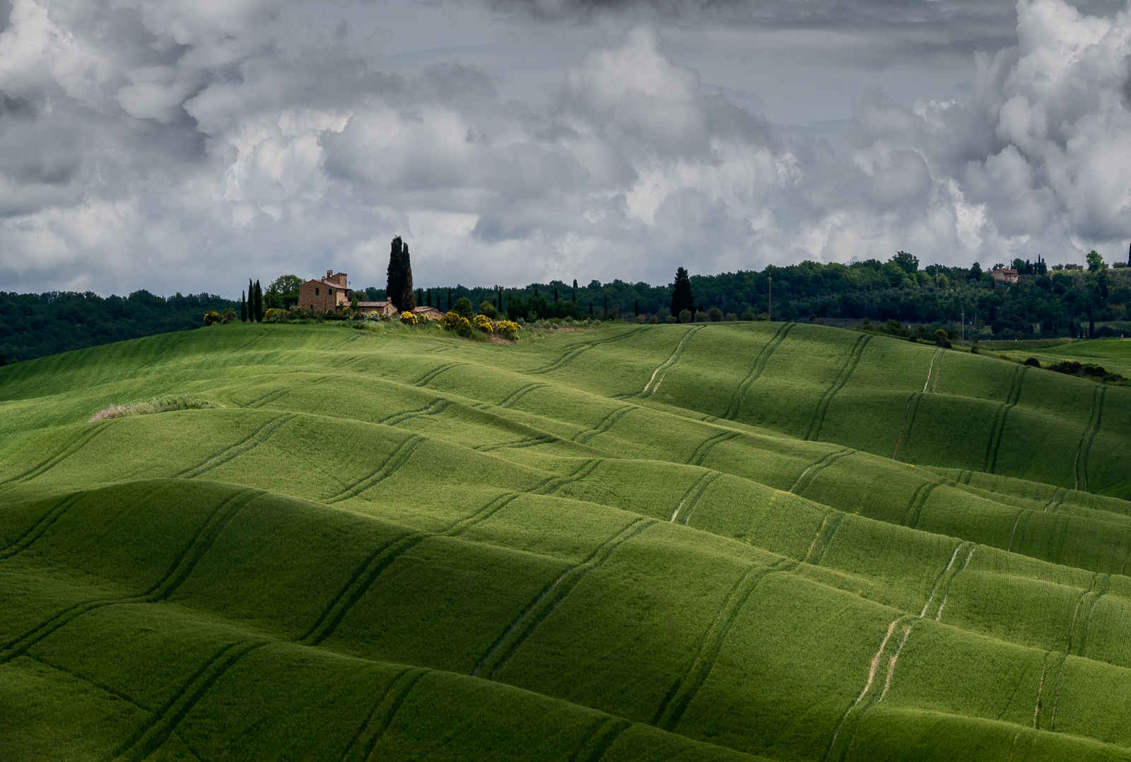 FOLDS IN THE FIELD by Ray Andrews