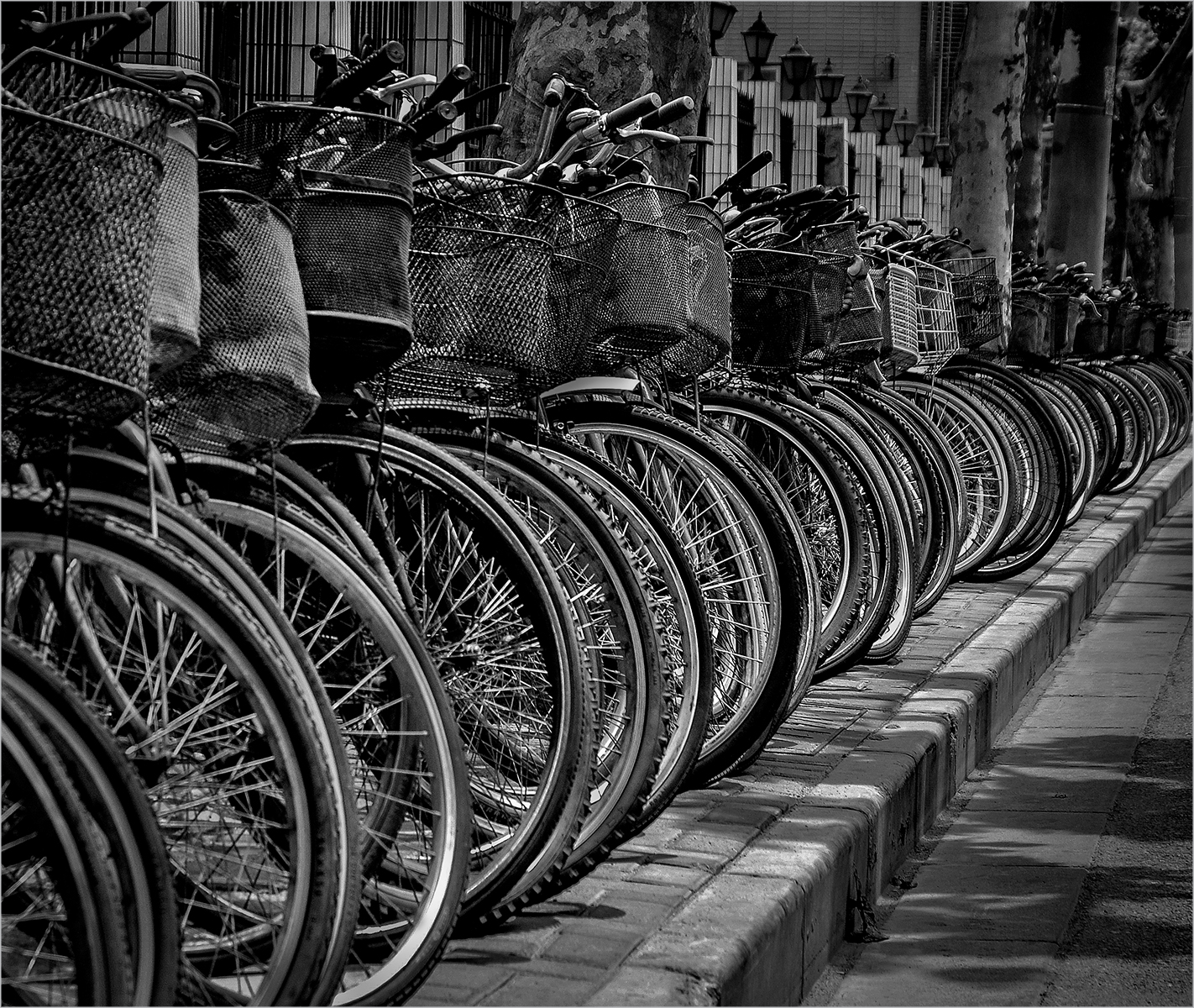 BIKE PARK by Lois Webb