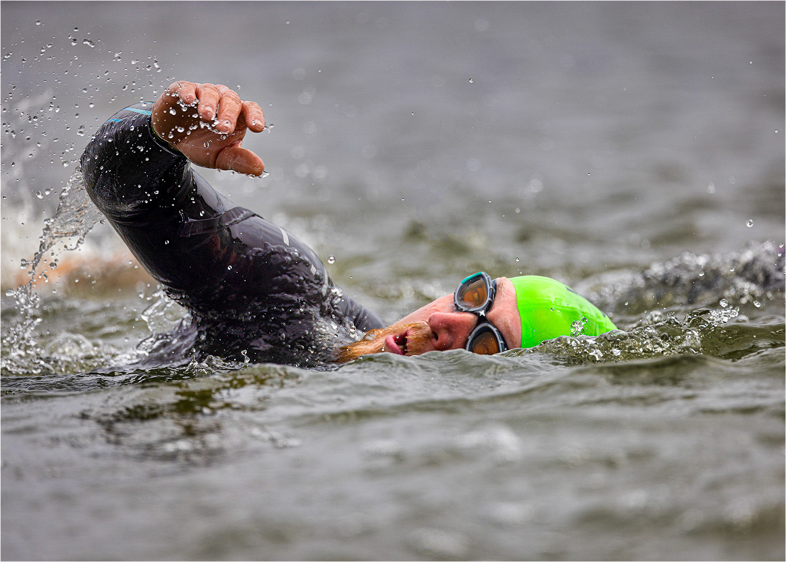 FRONT CRAWL ACTION by Nigel Stewart