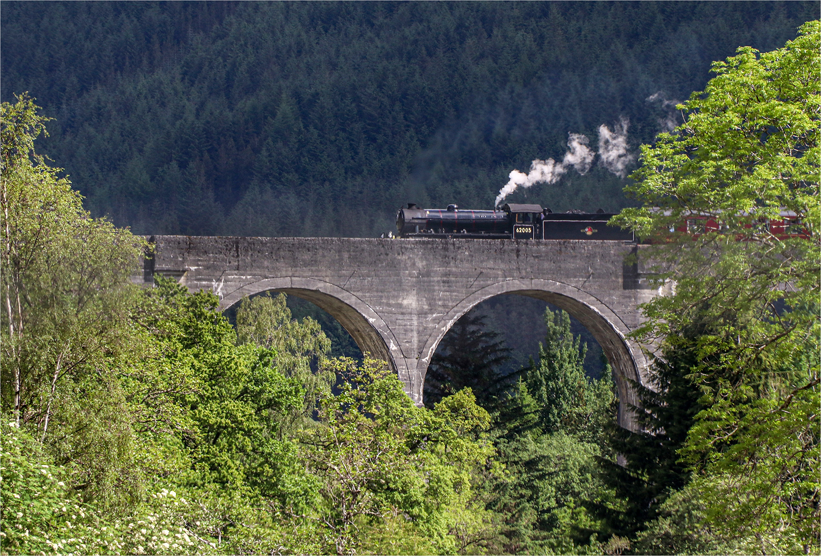HOGWARTS EXPRESS by Tabby