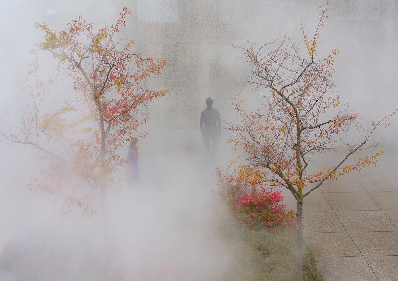 FIGURES IN THE MIST by Malcolm Nabarro