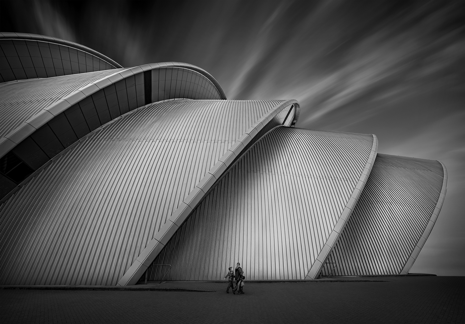 ARMADILLO by Lois Webb