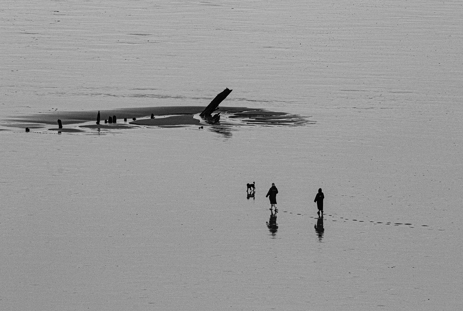 FOOTPRINTS IN THE SAND by Tabby