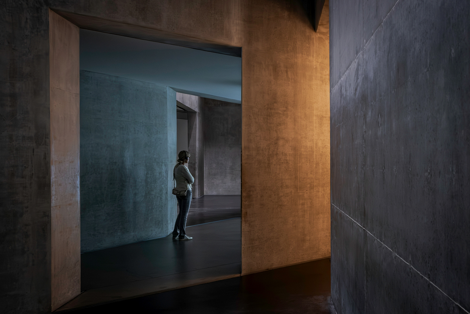 WHICH WAY NOW by Lois Webb