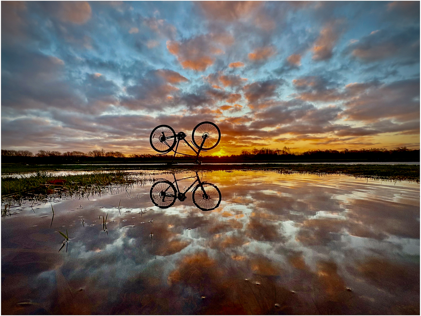 WHEEL DRAMA by Andy Gibbons
